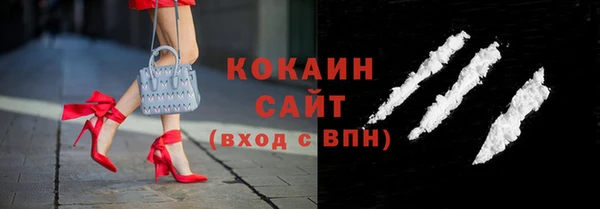 ECSTASY Алзамай