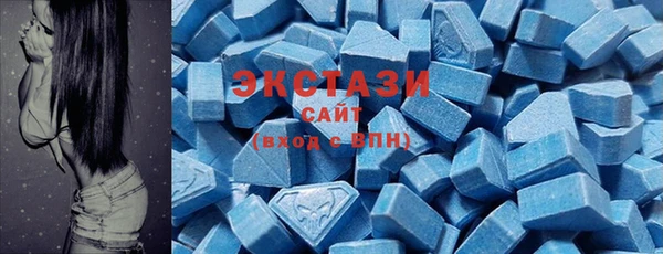 ECSTASY Алзамай