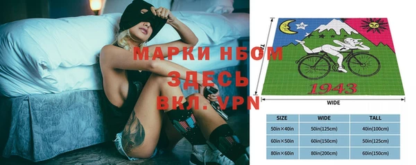 ECSTASY Алзамай